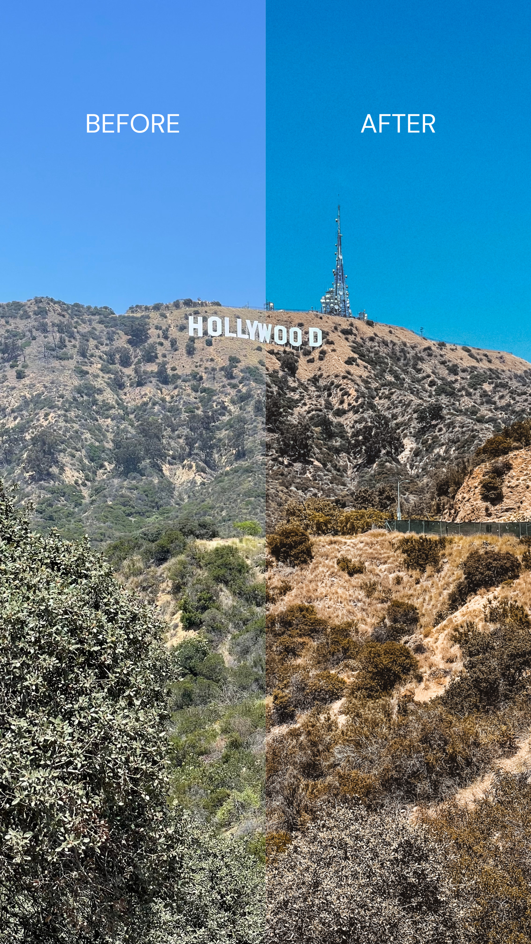 All In One Bundle CapCut & VN-Video Editor LUTs Voyagelifepresets