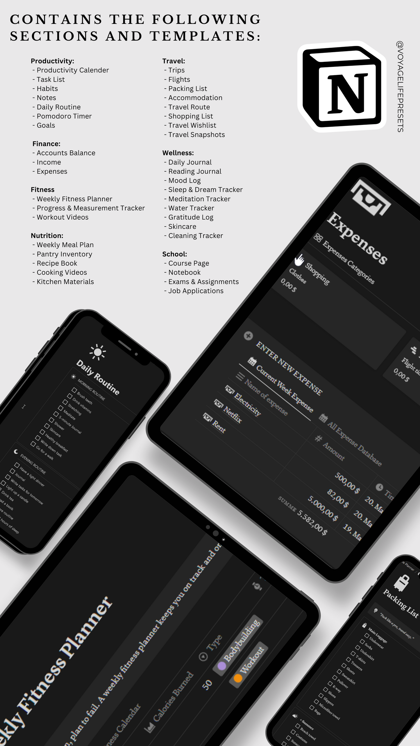 Dynamic Life Planner - Notion Template Voyagelifepresets